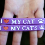 fing_cat_bracelet.jpg