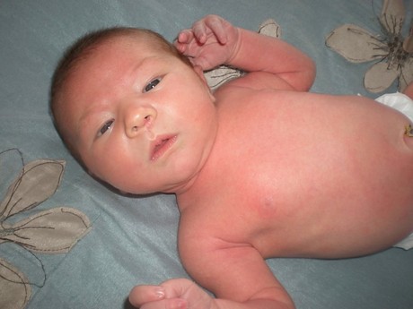 newborn_Lauren.jpg