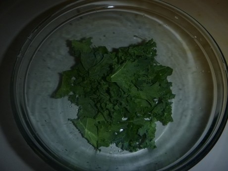 my_kale_in_bowl.jpg