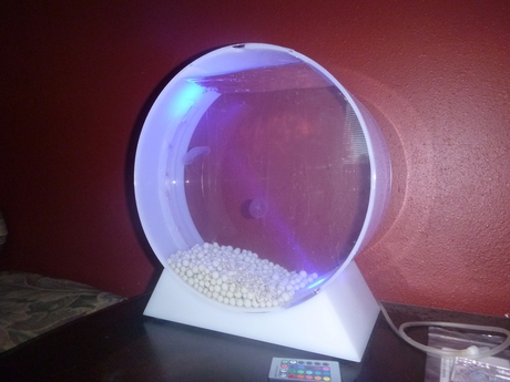 Jellyfish_tank_007.JPG