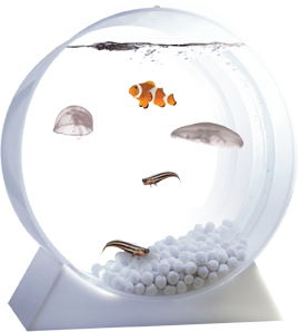 tank_with_fish.png