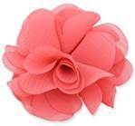 flower_clip.jpg