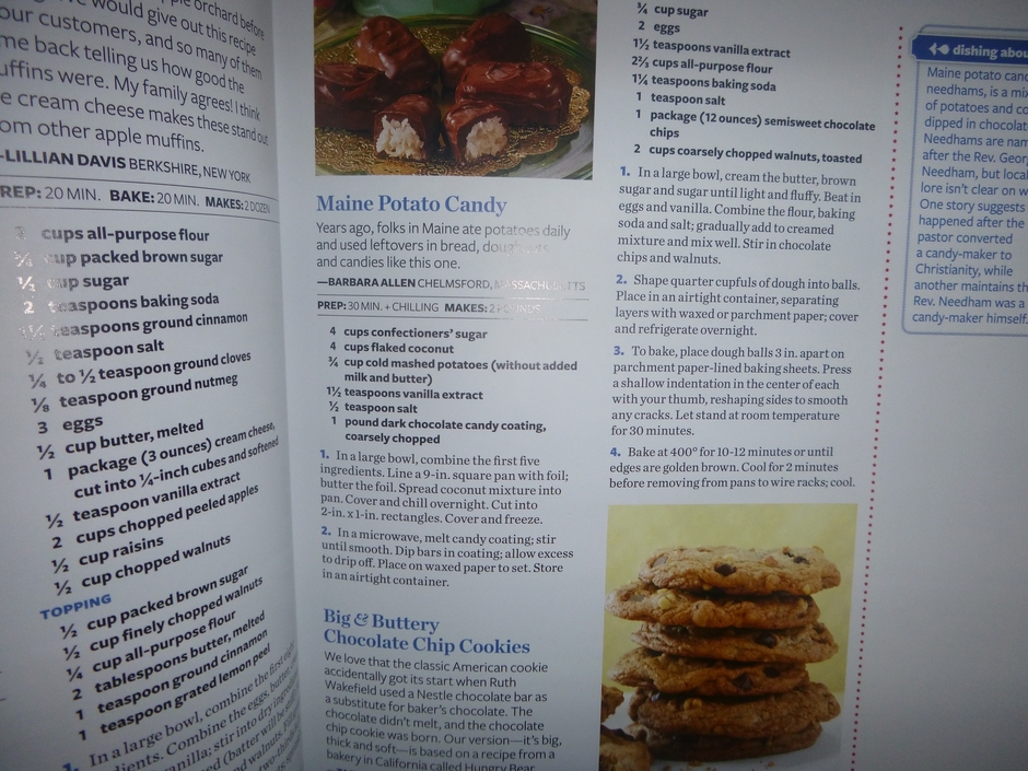 scarf and cookbook 007.JPG