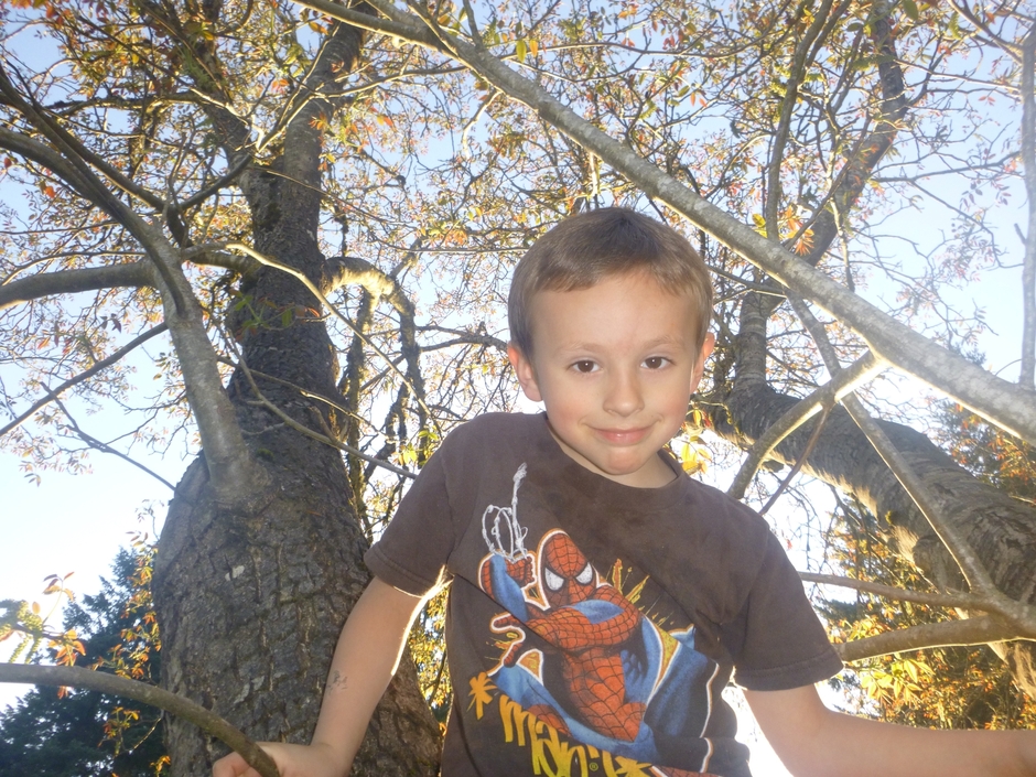 Braxton_in_tree.JPG